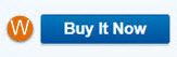 The «Buy it Now» button