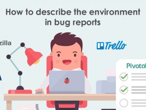 How to write the environment while reporting a bug in various bug tracking systems