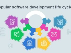 Popular software development life cycles