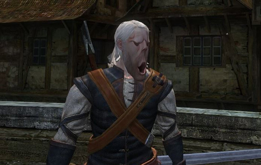 The bug example with textures of the characters in the «Witcher» game