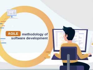 Agile methodology of software development